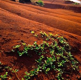 《世纪：灰烬纪元》推迟上线时间 避开《战地2042》