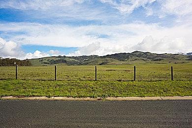 《邪恶》开场16分钟演示 令人毛骨悚然的恐怖新作